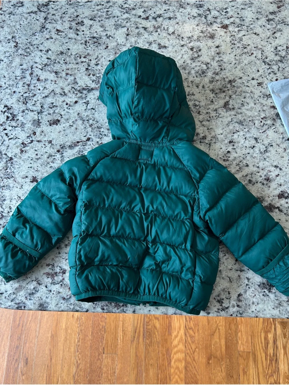 wonder nation 12 month Teal Hooded Puffer Jacket with Yellow Zip Pull
